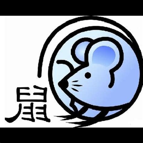 老鼠 風水|【老鼠五行屬什麼】老鼠五行屬什麼？屬鼠五行解析與幸運色彩一。